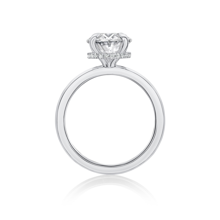Aster Oval Hidden Halo - 18ct White Gold / F / 3.55 Carats OVAL BRILLIANT VS1 EX EX E Diamond